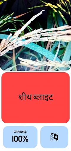 Screenshot 4 of RiceCure