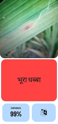 Screenshot 5 of RiceCure