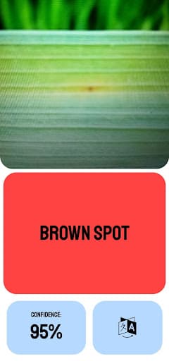 Screenshot 6 of RiceCure